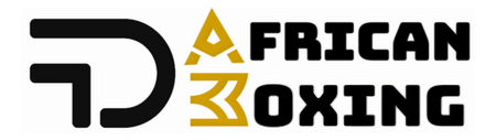 African Boxing logo plain 450x127 small white outline